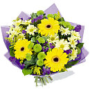 roses

yellow roses
pink roses
white roses
orange roses
lilies
red lilies
pink lilies
yellow lilies
orange lilies
white lilies
germini
gerbera
red germini
red gerbera
pink germini
pink gerbera
white germini
white gerbera
yellow germini
yellow gerbera
orange germini
orange gerbera
carnations
red carnations
pink carnations
yellow carnations
orange carnations
white carnation
eustoma
hypericum
chrysaths
statice
