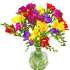 Full view of Scented freesia, a simple arrangement of fresh fragrant freesia flowers.