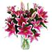 Sensation Lilies. A gorgeous hand tied bouquet of fresh and vibrant oriental lilies, which have a delightful scent that will brighten and fragrance any room in the home or office.