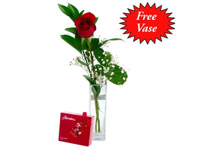 single red rose clare florist
