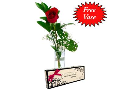 Single Red Rose and Chocolates