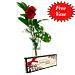 A single Best-Grade Rose in it's luxury presentation box.