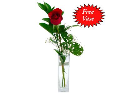 Single Red Rose