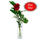 A single Best-Grade Rose in it's luxury presentation box.