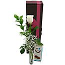 Single White Rose Gift Set