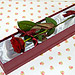 A single Best-Grade Rose in it's luxury presentation box. A spectacular way to display your love!