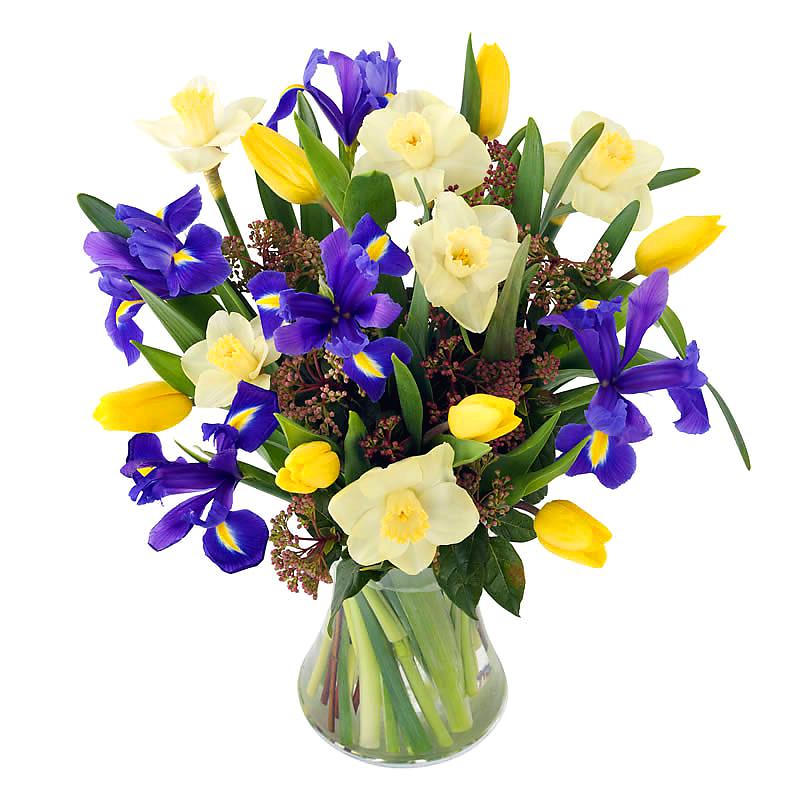 Spring Has Sprung Bouquet half price special offer on subscriptions.