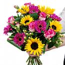 The exquisite Spring Sensation bouquet - This vibrant bouquet comprises of sunflowers, hot pink germinis, dainty hypericum berries, lustrous alstroemeria and jazzy pink roses combined with luxury green foliage.