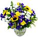 A fitting bouquet for spring. Spring time meadow an arrangement of fresh flowers available now for next-day free delivery from Clare Florist A fitting bouquet for spring. Spring time meadow an arrangement of fresh flowers available now for next-day free delivery from Clare Florist