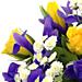 A close up of beautiful iris, tulip and roses, a fitting bouquet for spring. Spring time meadow an arrangement of fresh flowers available now for next-day free delivery from Clare Florist A close up of beautiful iris, tulip and roses, a fitting bouquet for spring. Spring time meadow an arrangement of fresh flowers available now for next-day free delivery from Clare Florist