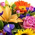 A close-up view of the Burst of Summer Bouquet, it includes fabulous bright gerbera, scented lilies, pink roses and long lasting santini, amongst many other colourful flowers. Available now for next-day free delivery from Clare Florist.