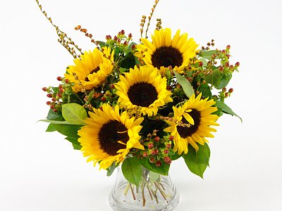 https://www.clareflorist.co.uk/flowers-by-type/helianthus/sunflower-surprise-40069