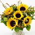 A view of sun flowers, an arrangement of fresh summer flowers available now for next-day delivery from Clare Florist A view of sun flowers, an arrangement of fresh summer flowers available now for next-day delivery from Clare Florist