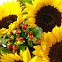 A view of sun flowers, an arrangement of fresh summer flowers available now for next-day delivery from Clare Florist A view of sun flowers, an arrangement of fresh summer flowers available now for next-day delivery from Clare Florist