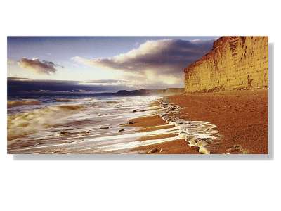 Clare Florist Seaside Sunrise