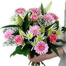 The Sweet Pinks Bouquet comprising of pink germini, pink lilies, pink carnations and gypsophila - perfectly presented!