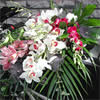 St. Tropez (�99.99) - The ultimate luxury bouquet of exotic orchids surrounded by tropical foliage. Spoil someone with this luxury bouquet. Our florists will arrange these exotic orchids and surround them with tropical foliage. Have these fantastic flowers delivered to that special someone.