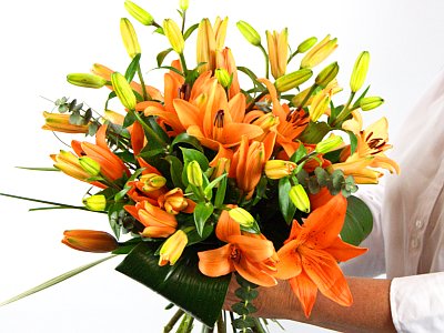 tiger lily flower meaning. Tiger Lilies