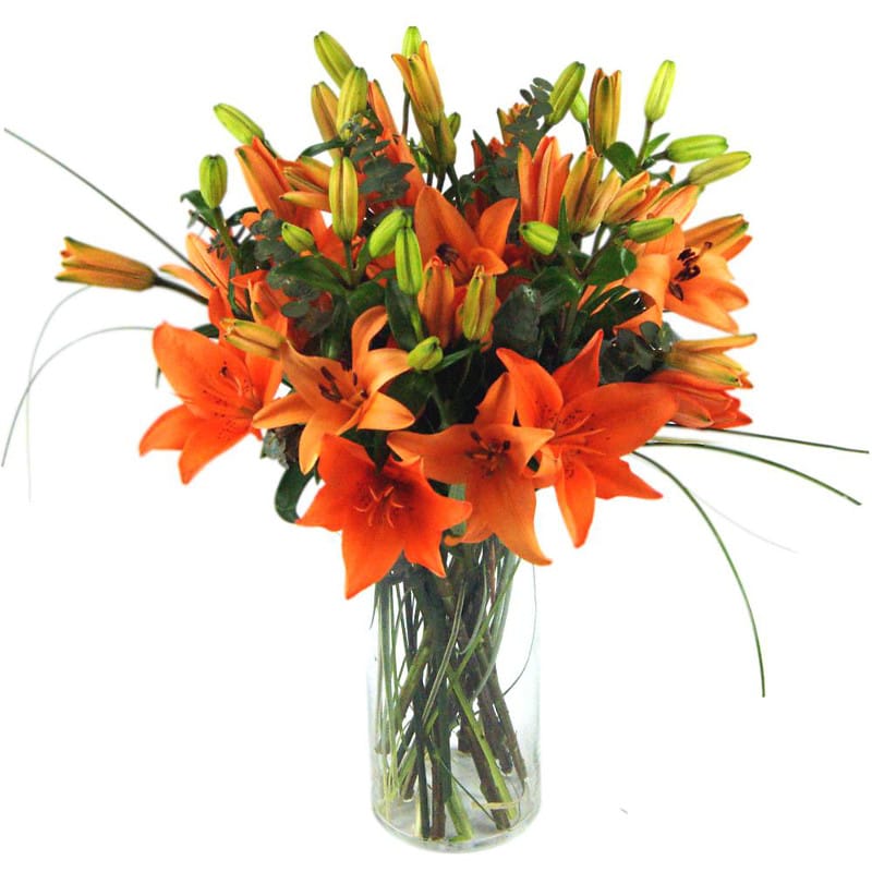 Tiger Lilies