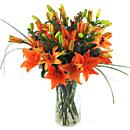 orange lilies