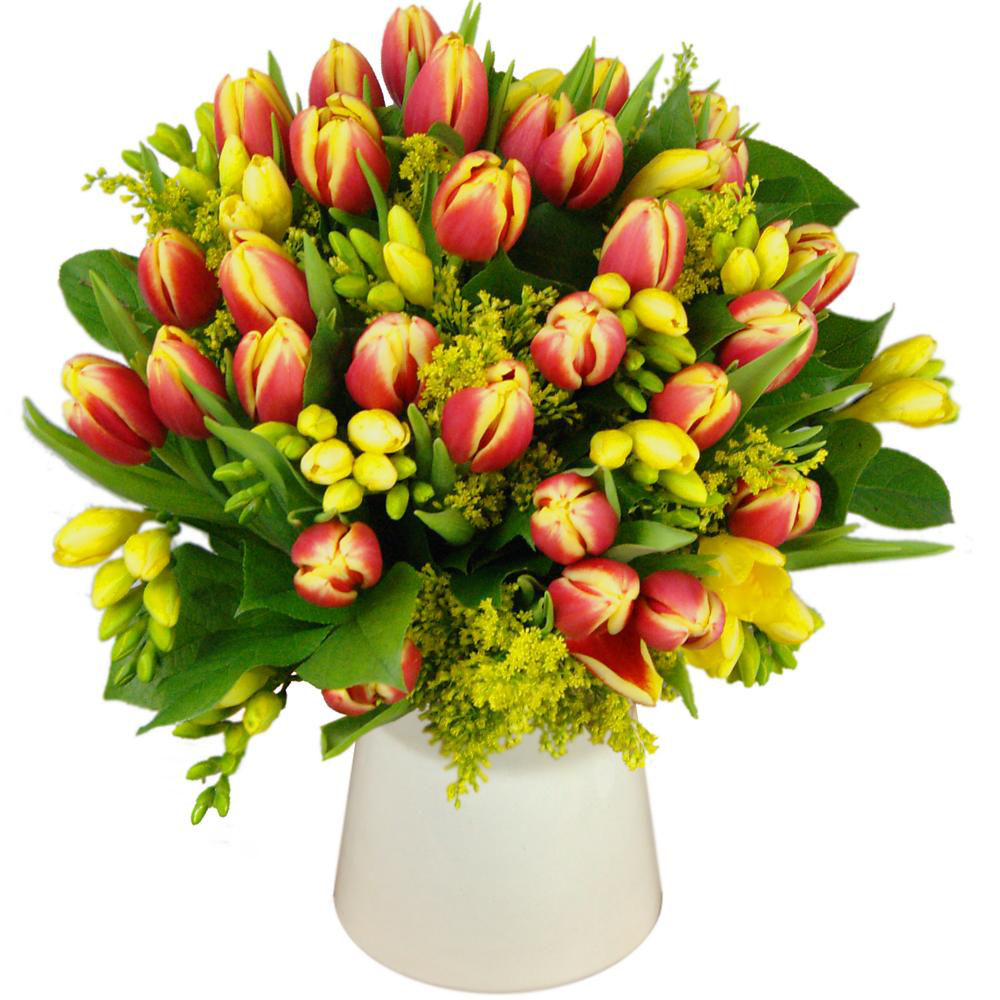 Picture of Tulip and Freesia Bouquet