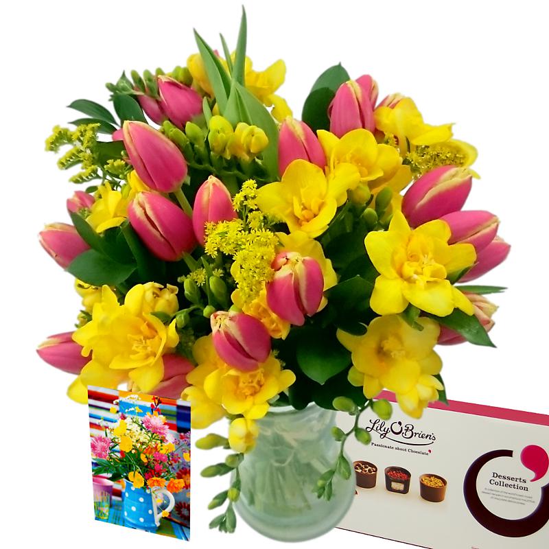 Tulip and Freesia Gift Set half price special offer on subscriptions.
