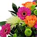 Close up of Fresh and fruity combination of Germini, Roses, Chrysanthemums, Statice and Carnations - with Free Next Day Delivery