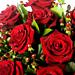 The elegant arrangement of 12 red roses with gypsophila. Guaranteed to brighten that special persons day! The elegant arrangement of 12 red roses with gypsophila. Guaranteed to brighten that special persons day!