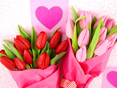Valentine’s Tulips