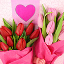 Valentine's Tulips