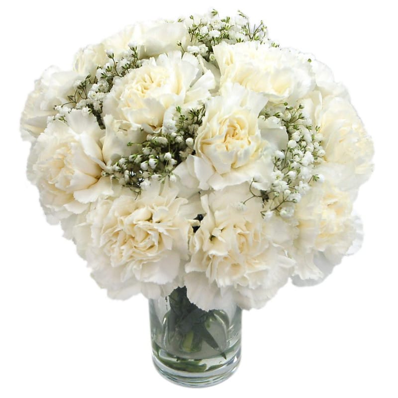 Picture of White Carnations