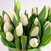 Delightfully simple, 20 White Tulips - Freshly picked and simply presented.