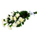 White Carnations