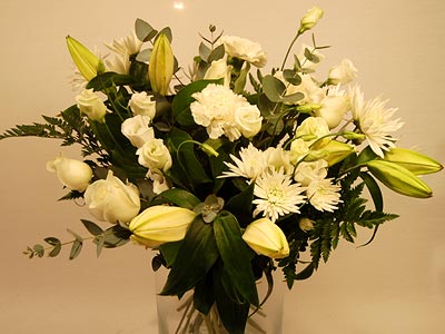 Classic White Collection