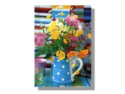 Click here to view information for&nbsp;Wild Flowers