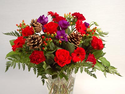 Cranberry Rose