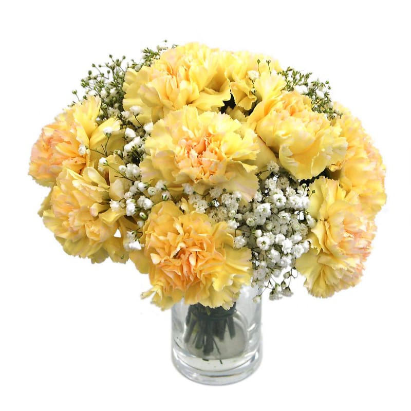 Picture of Yellow Carnations