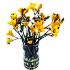 The Fabulously fresh and fragrant Yellow Freesia.