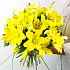Yellow Lilies, crisp fresh arriving in bud ready to place in your own vase.