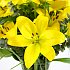 Yellow Lilies, crisp fresh arriving in bud ready to place in your own vase.