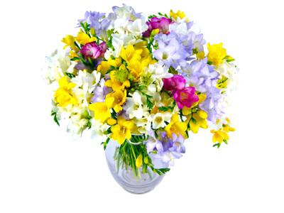 Freesia Fragrance bouquet