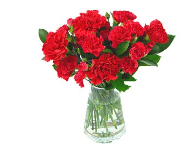 Festive Red Carnations