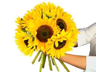 Sunflowers delivered to you by Clare Florist