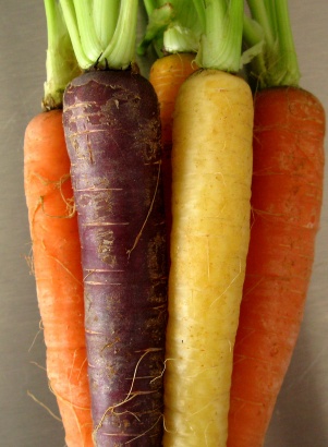 Yellow-organge-purple-carrots