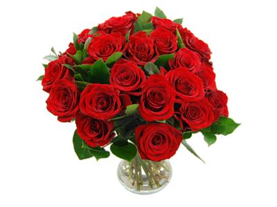 Beautiful arrangment of 24 red roses