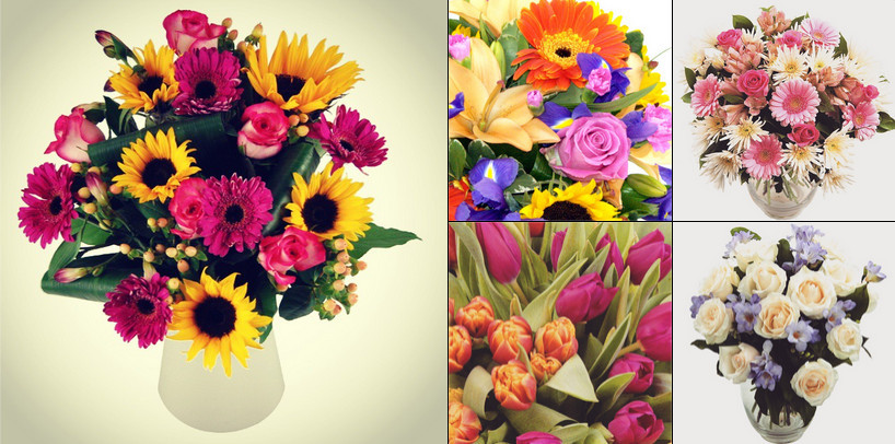 About Clare Florist