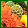 Autumn Flowers range 