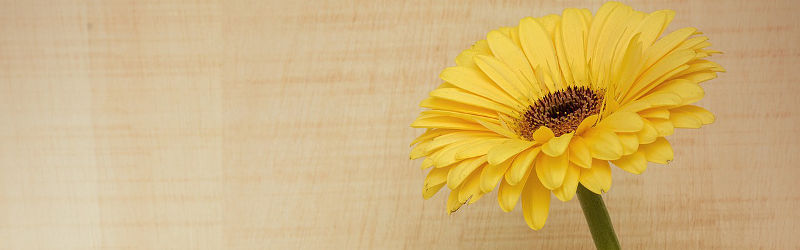 Birthday Flowers