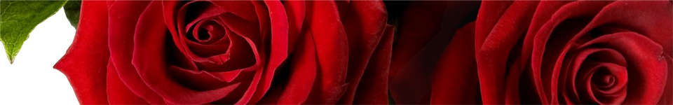 Valentines Day Flowers