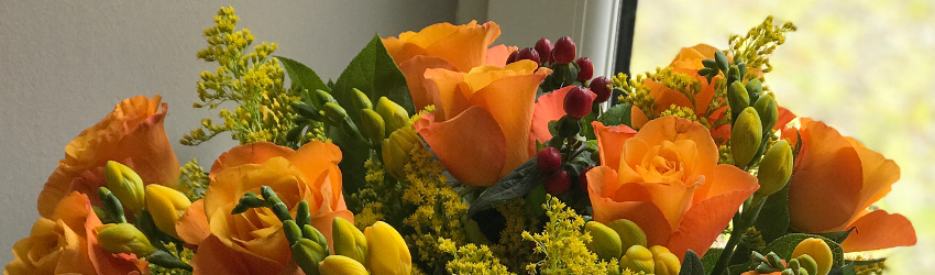 Autumn Flowers